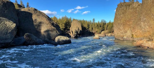 Spokane River. Rocks and trees and flowing river.